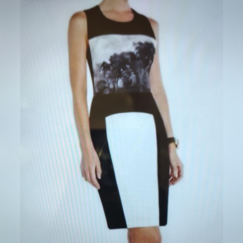 BCBG MAXAZRIA Scenic B/W Colorblock Sheath Dress Sz 4 NWOT